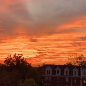 Meet your Posher, Mel